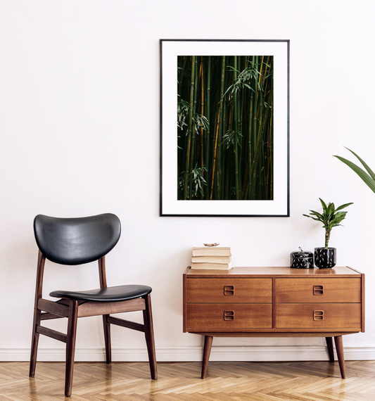 "Bamboo II" Nature Photography Print