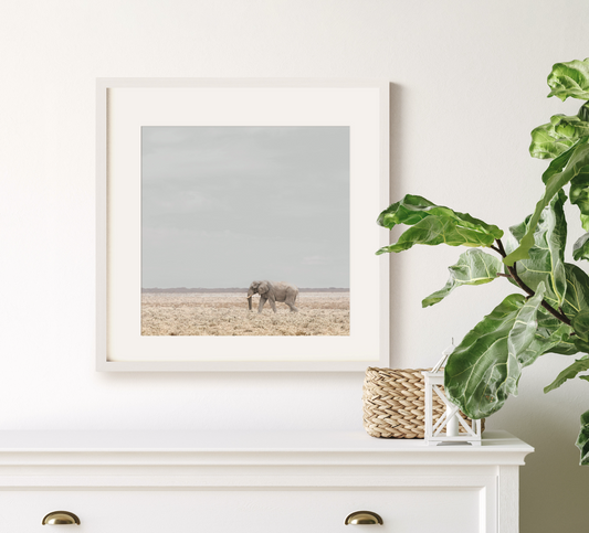 "Elephant" Safari Fine Art Photography