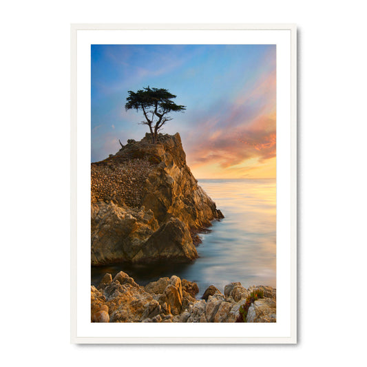 Lone Cypress - Fine Art Print