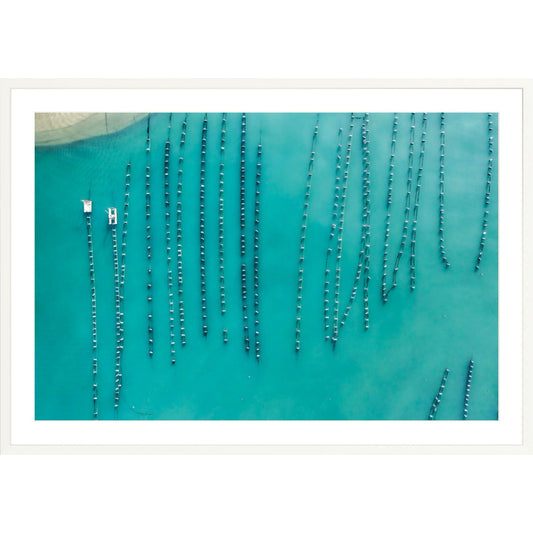 Oyster Beads - Fine Art Print