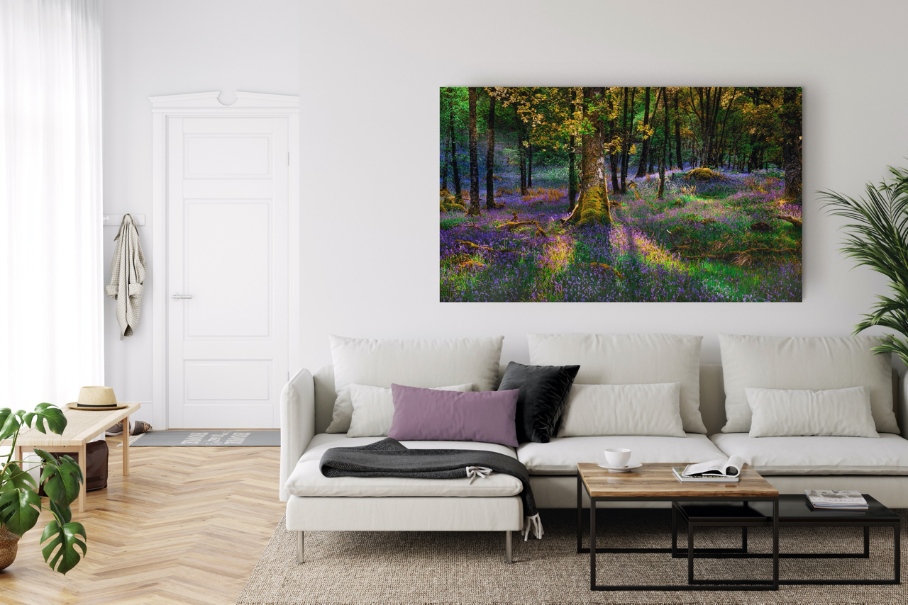 "Rhapsody in Color" Nature Photography Print