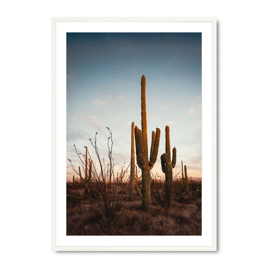 Sonoran’s Gentle Farewell - Fine Art Print