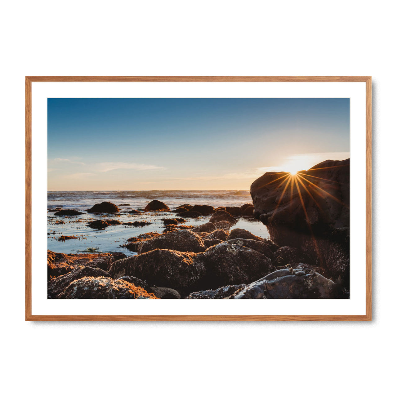 Tide Pools