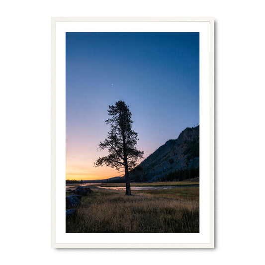 Twilight in Yellowstone - Fine Art Print