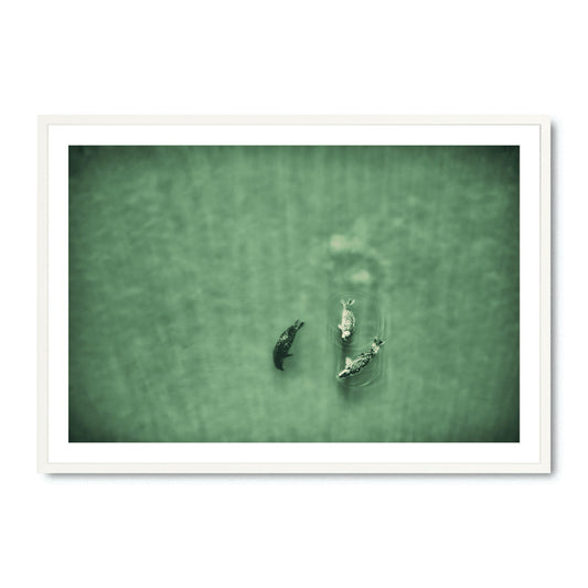 Water Ballet - Fine Art Print