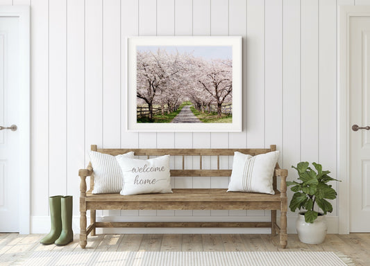 "Cherry Blossom Lane" Nature Wall Art