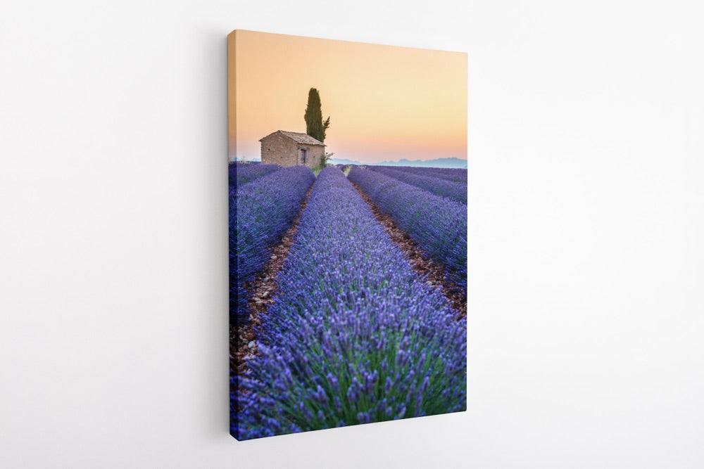 "Stripes of Lavender" | France Photography Print