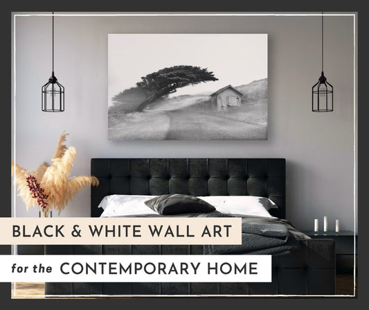 Black and White Wall Art for the Contemporary Home