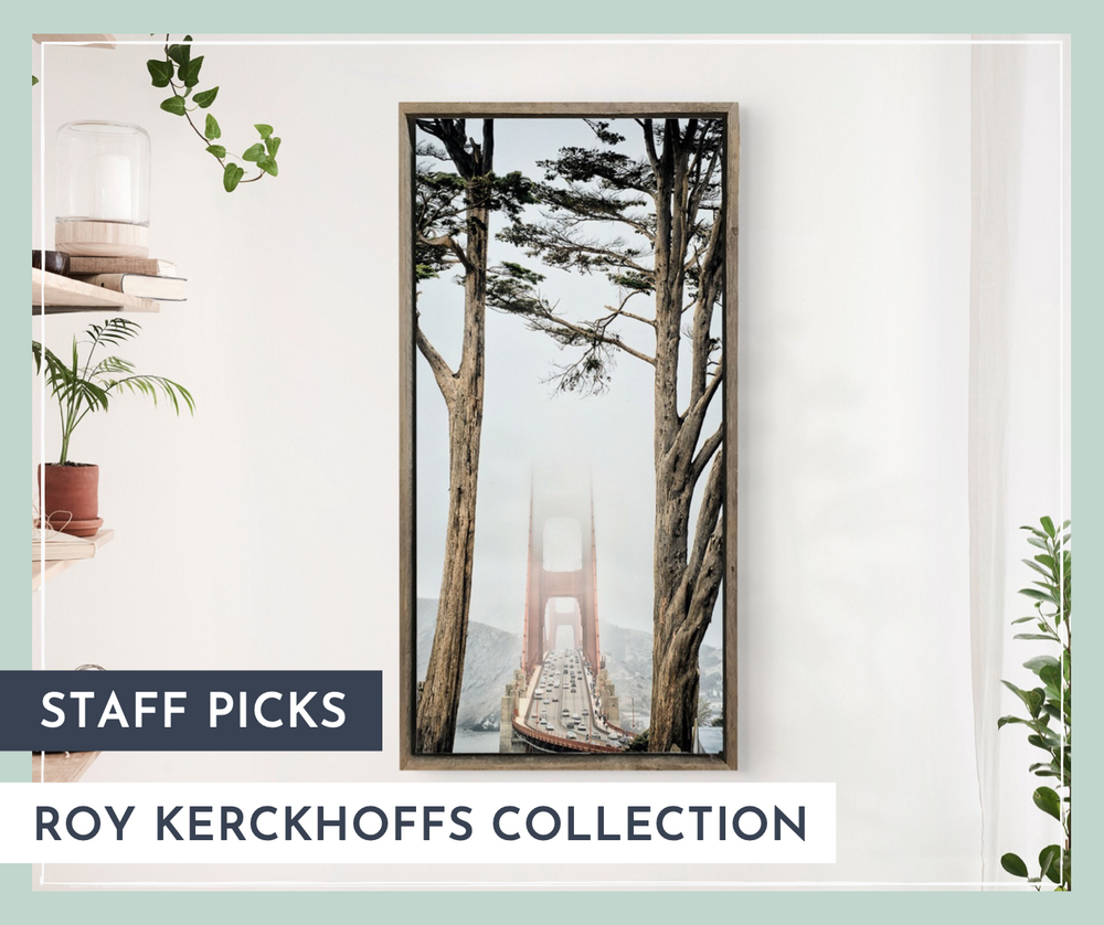 Staff Picks: Roy Kerckhoffs Collection