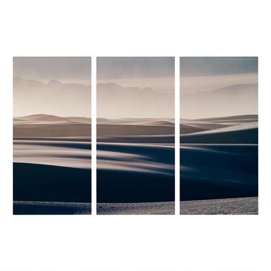 "Any Way the Wind Blows" Triptych, Desert Wall Art - Set of 3