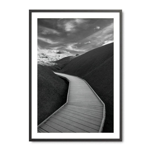 Boardwalk Through Time