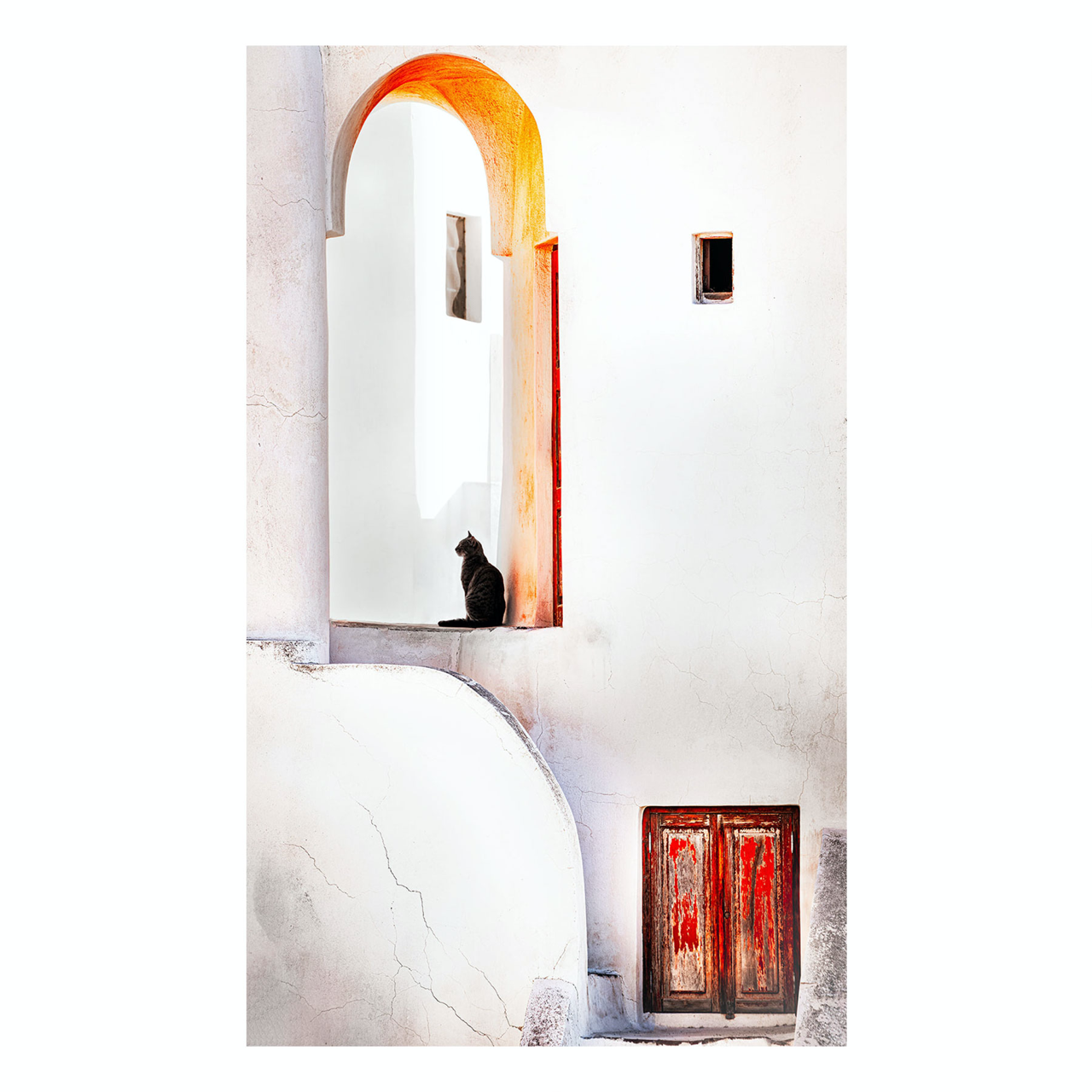 "Cat in the Shade" Fine Art Photography