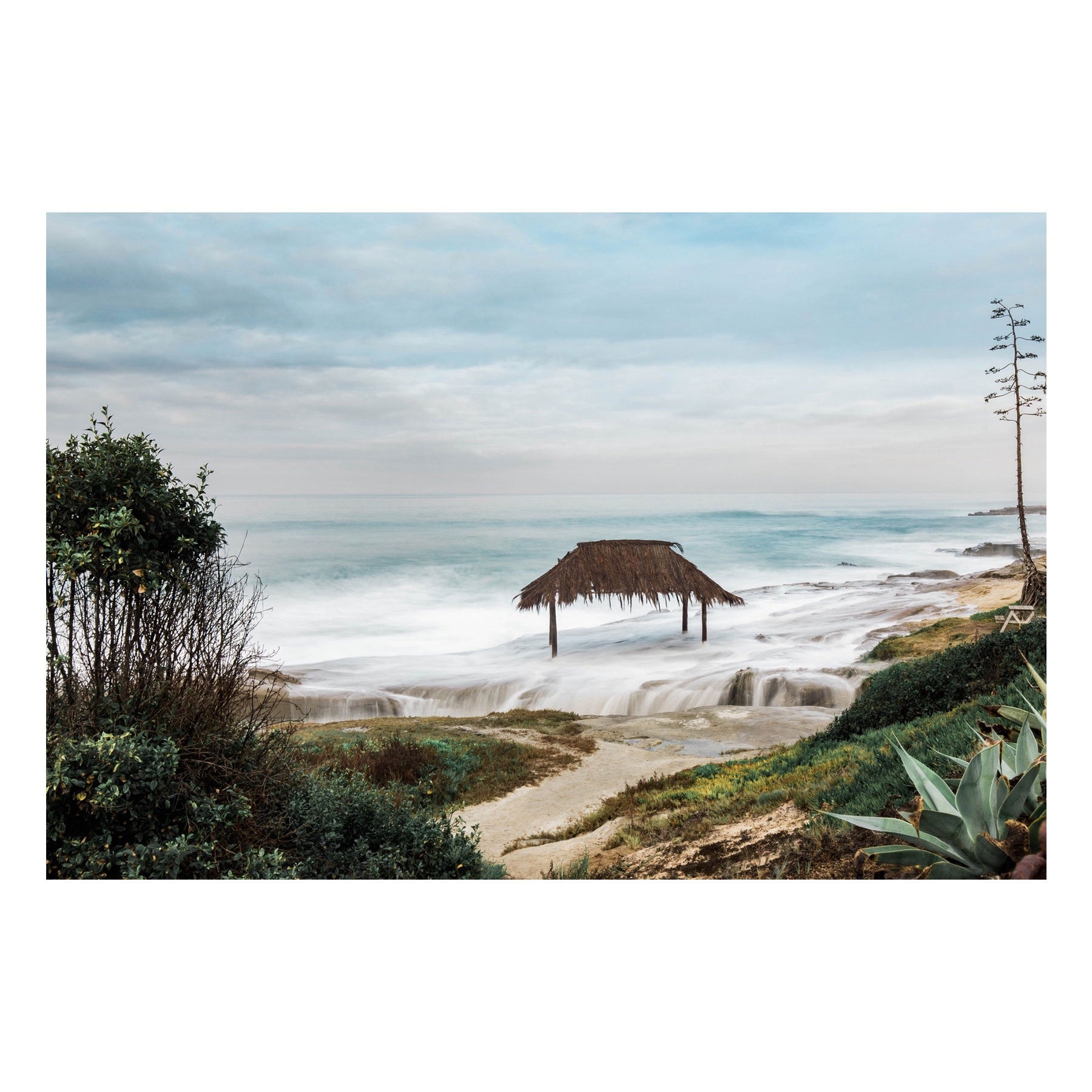 "Daydream" Coastal Wall Art