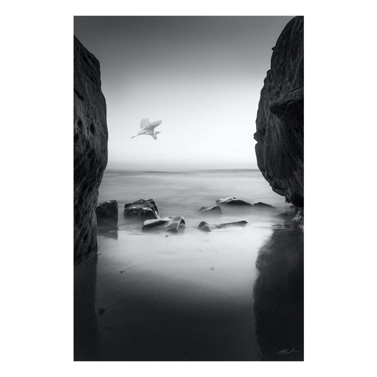 "Fly By" | Black and White Photography Print