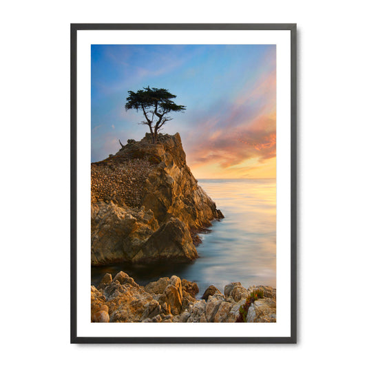 Lone Cypress