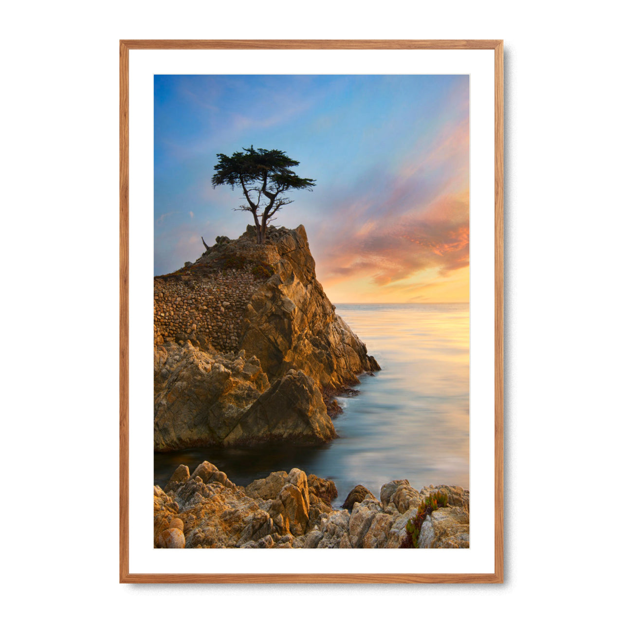 Lone Cypress