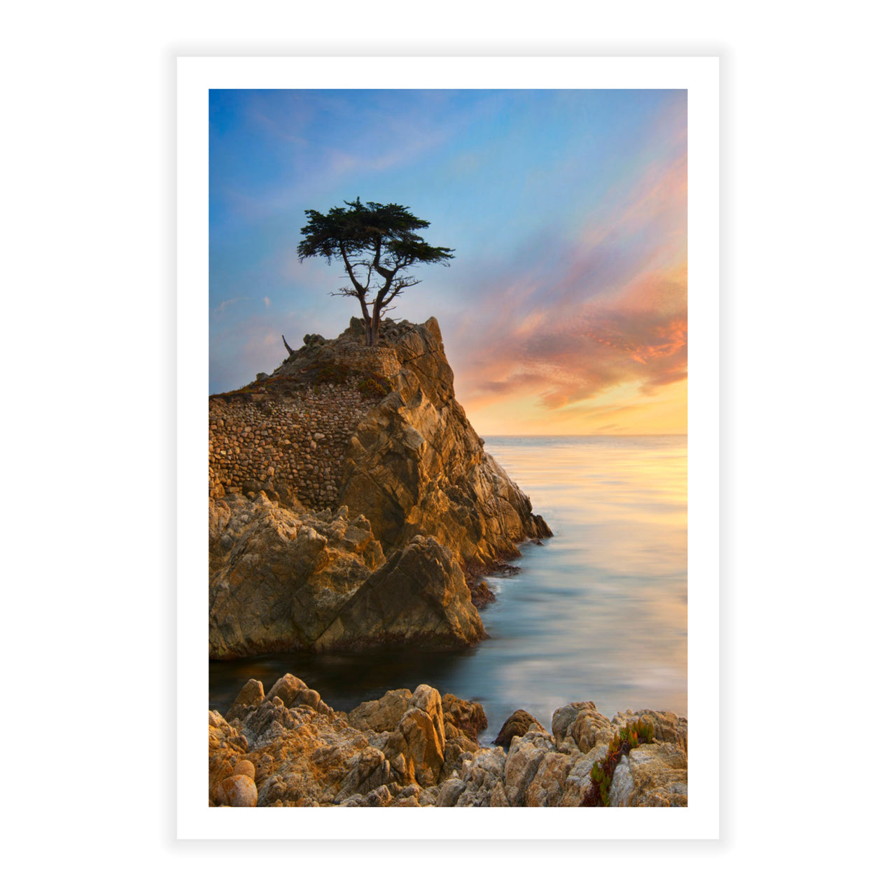 Lone Cypress