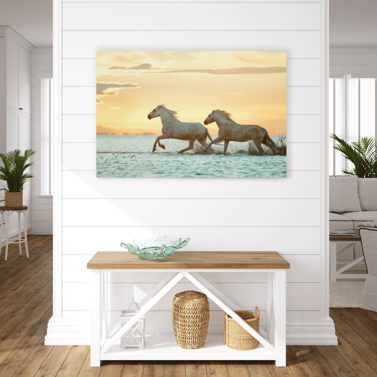 Morning Run | Aluminum Print