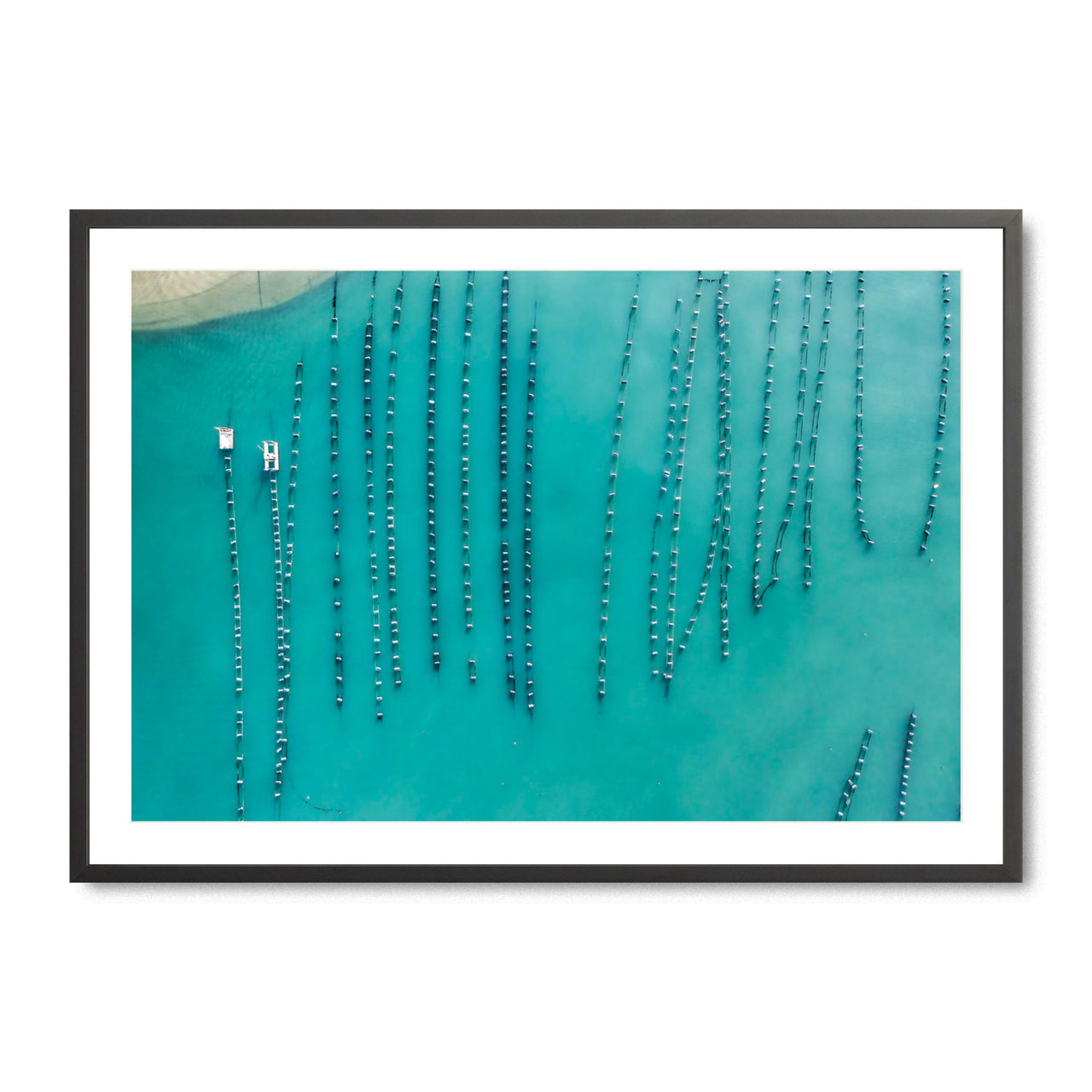 Oyster Beads