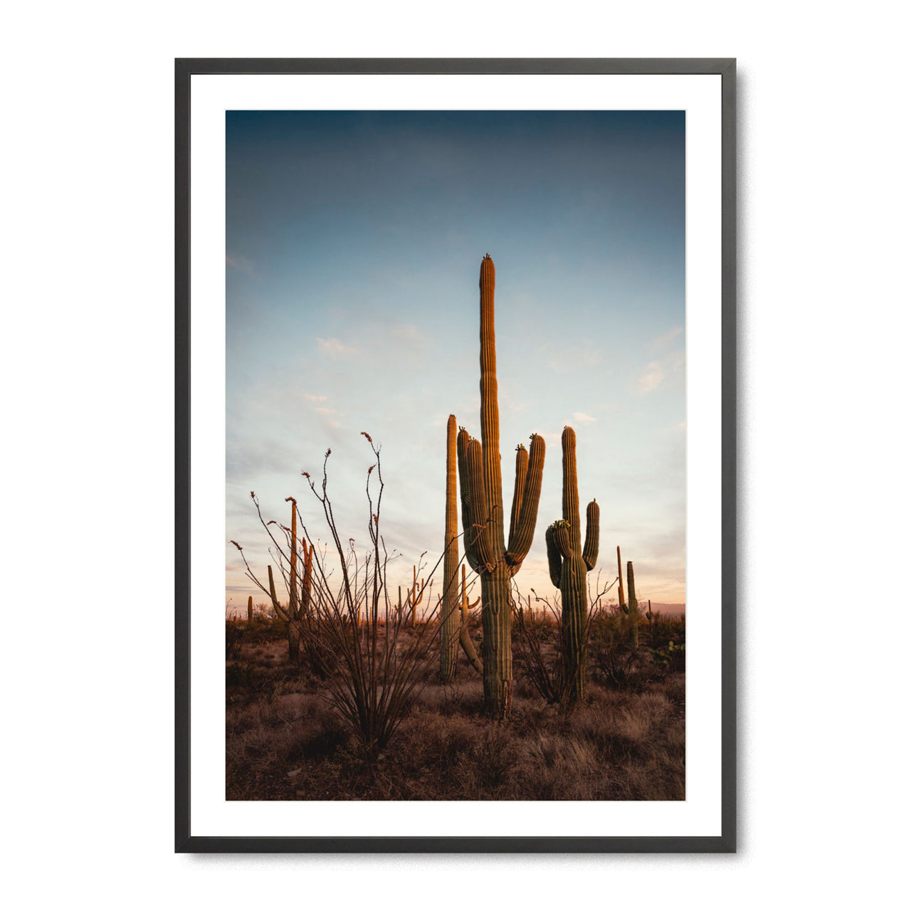 Sonoran’s Gentle Farewell