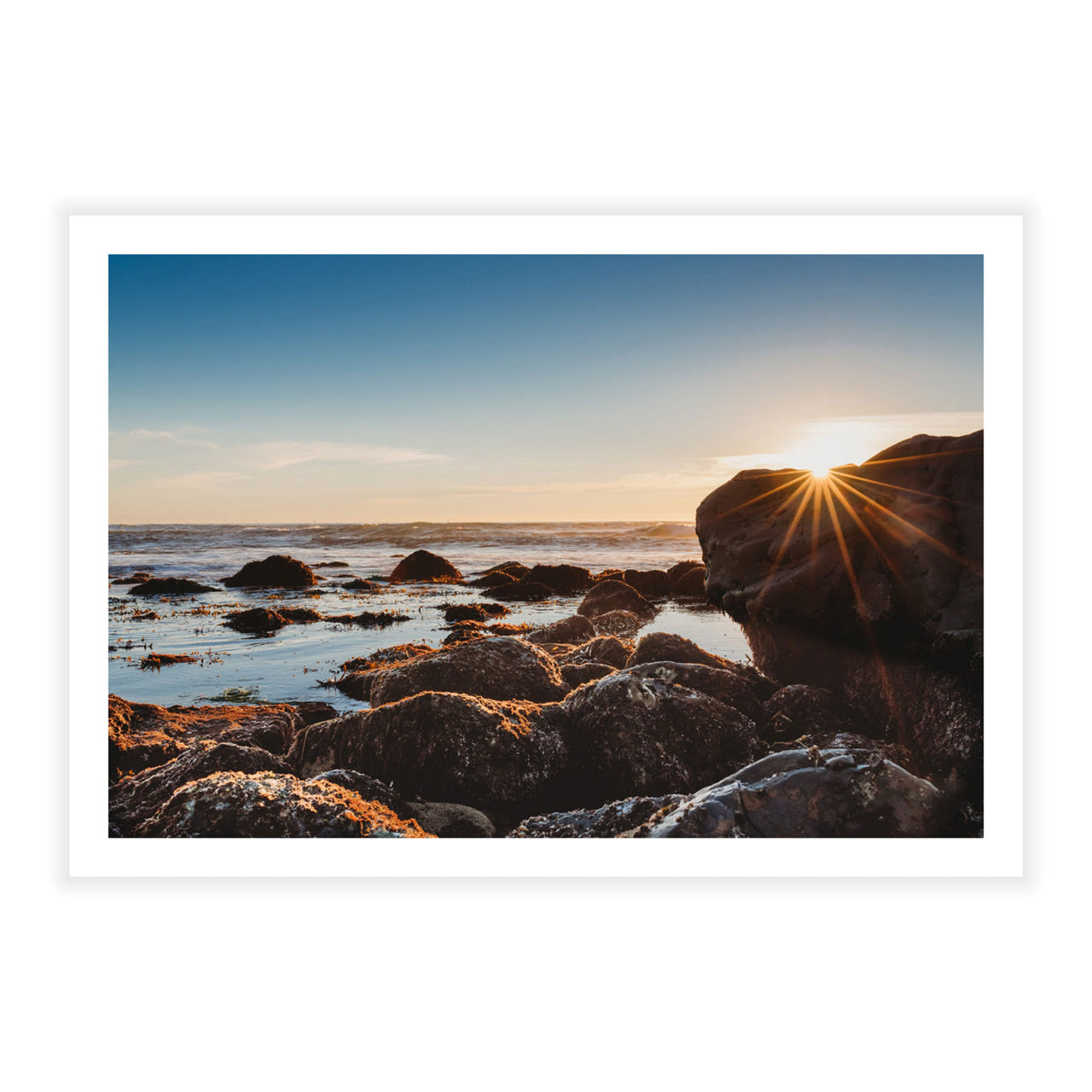 Tide Pools