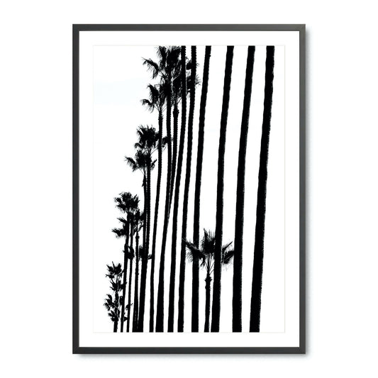 Tree Line