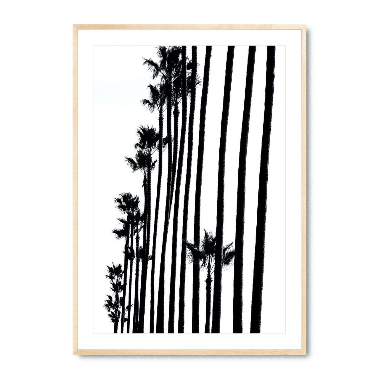 Tree Line