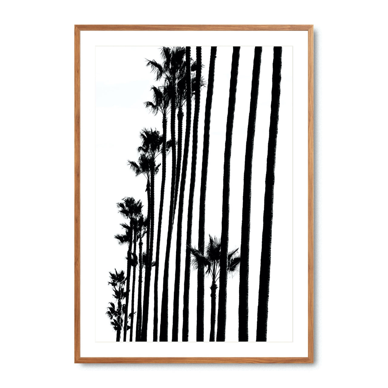 Tree Line
