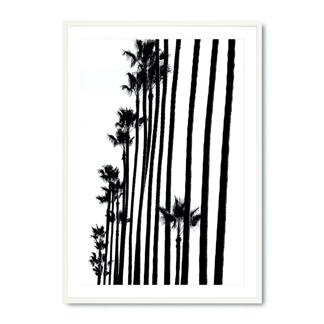 Tree Line