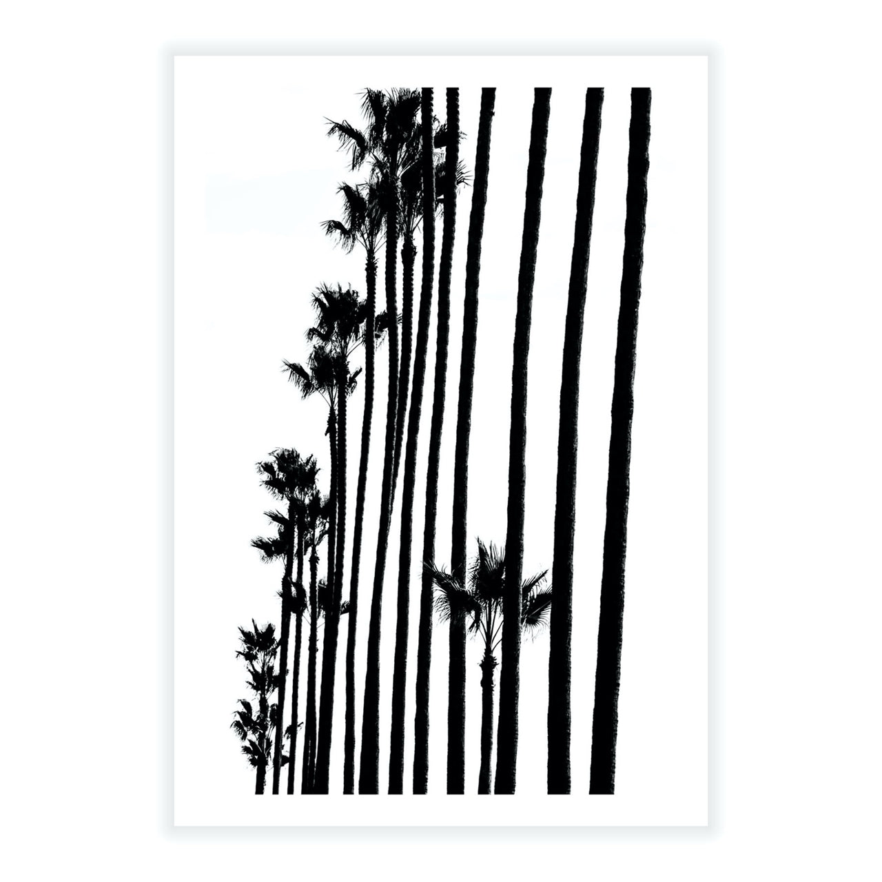 Tree Line