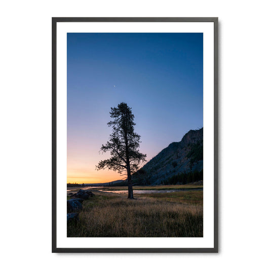 Twilight in Yellowstone
