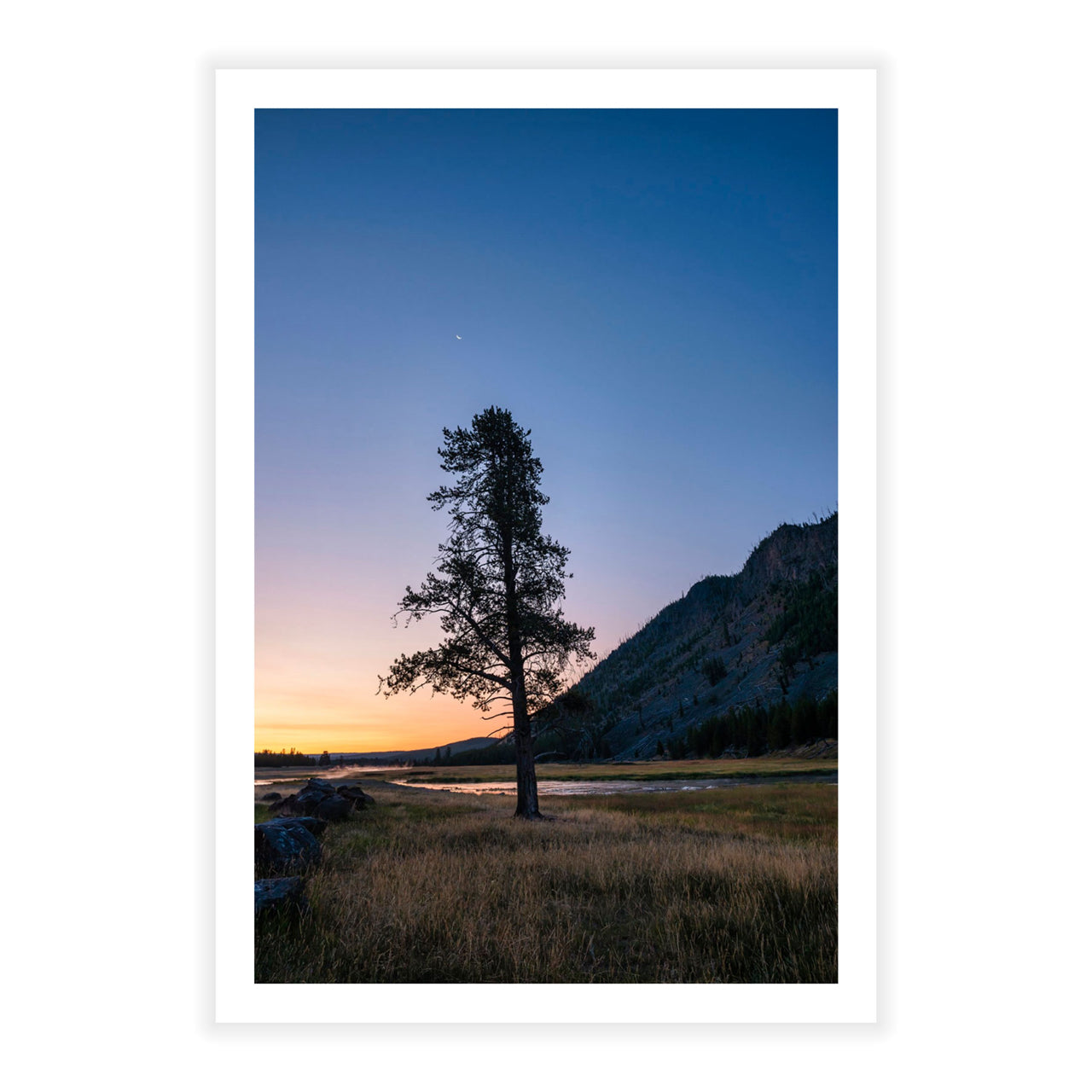 Twilight in Yellowstone