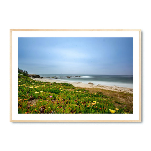 Windansea