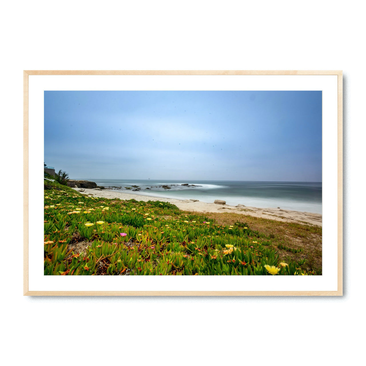 Windansea