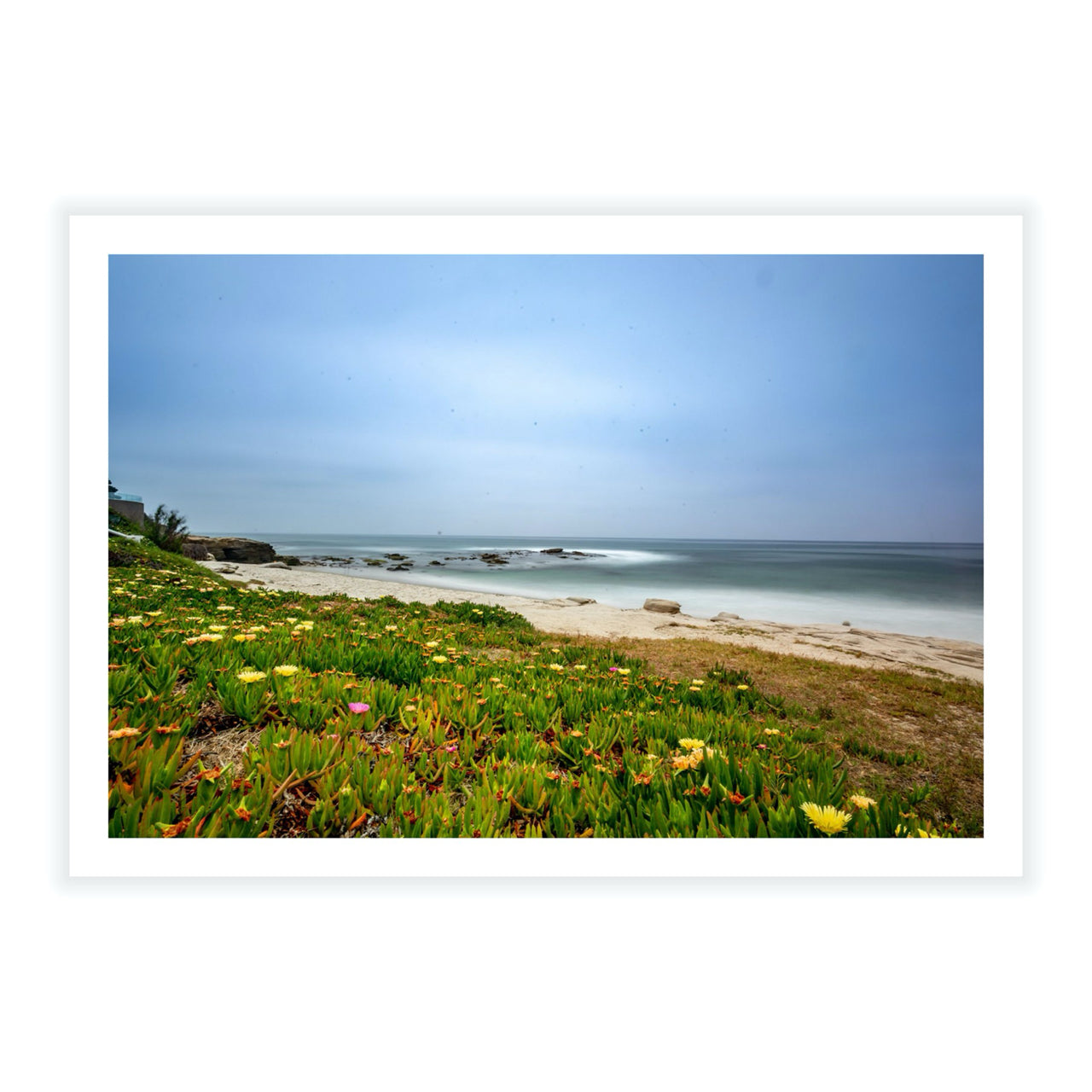 Windansea