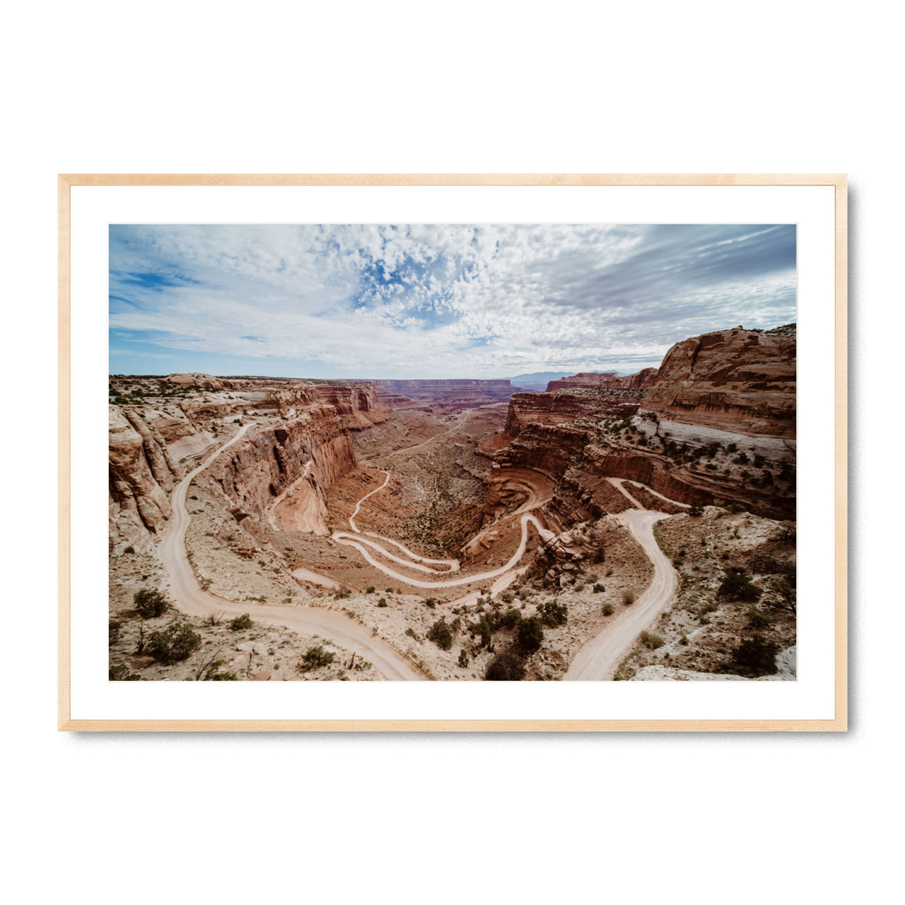 Winding Roads of Canyonlands