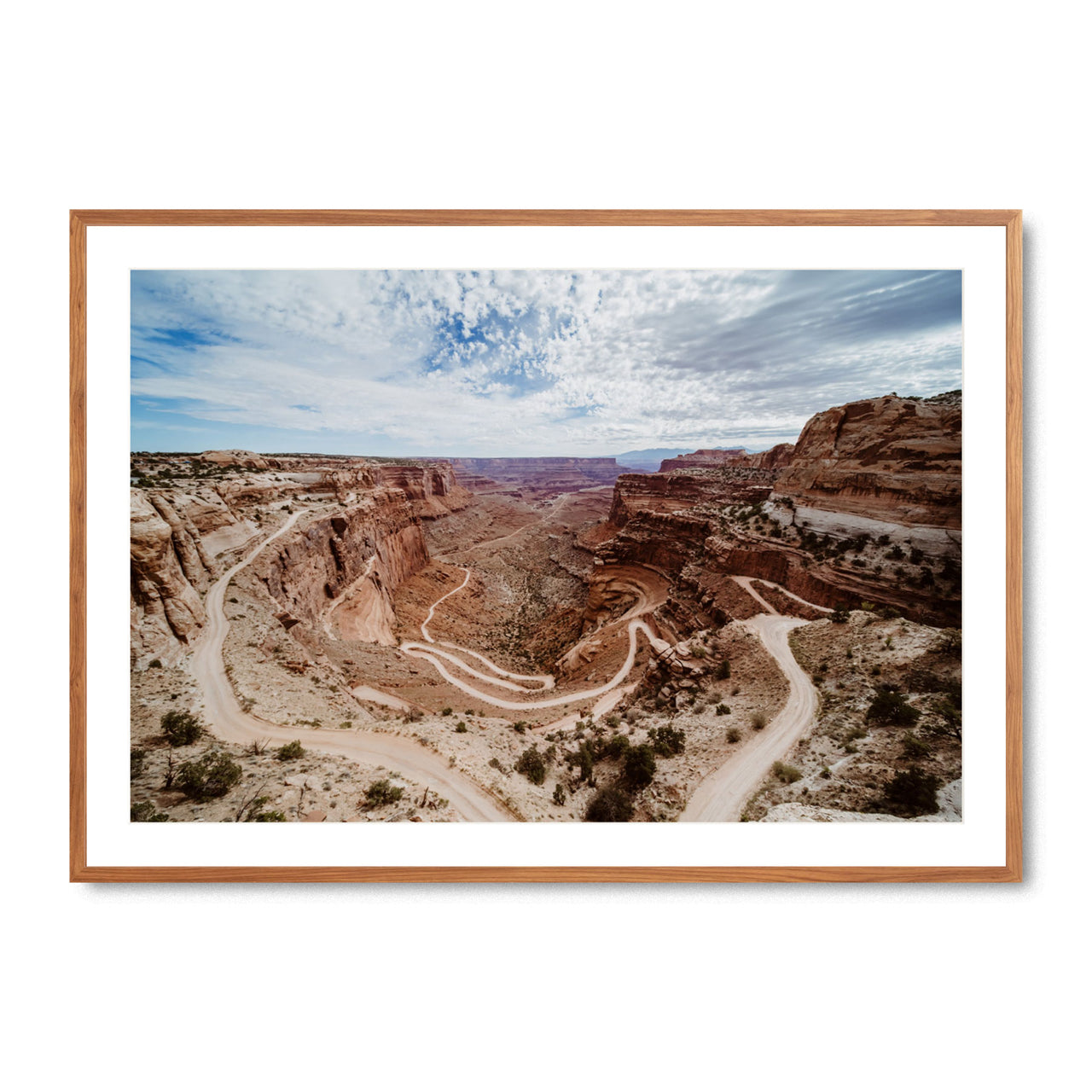 Winding Roads of Canyonlands