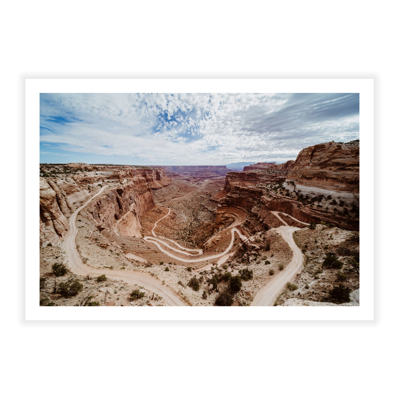 Winding Roads of Canyonlands