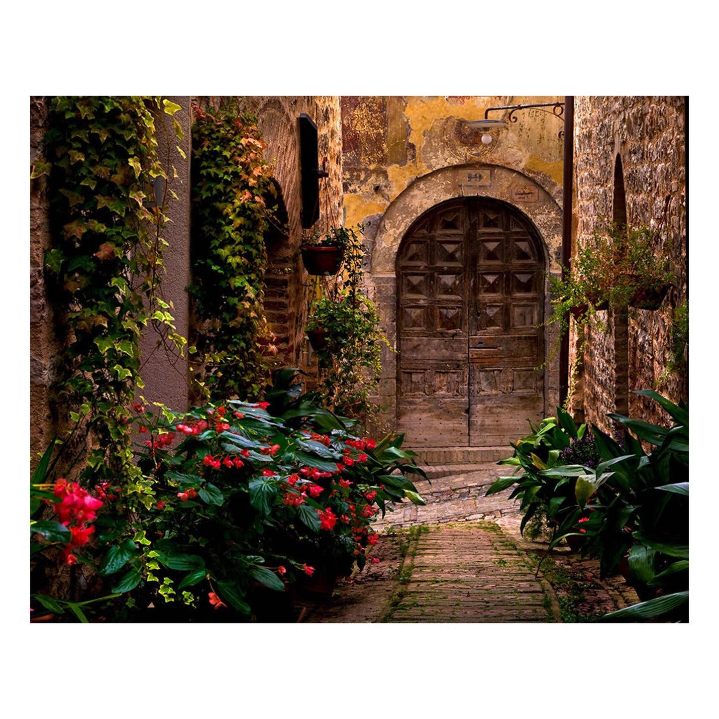 Fine Art Prints - "The Fox" | Travel Landscape Photography