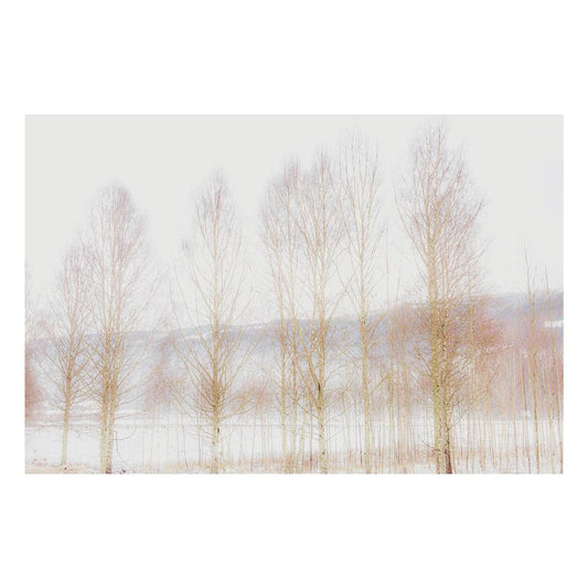 Fine Art Prints - "Winter Pastels Of Sweden" | Nature Photography Prints